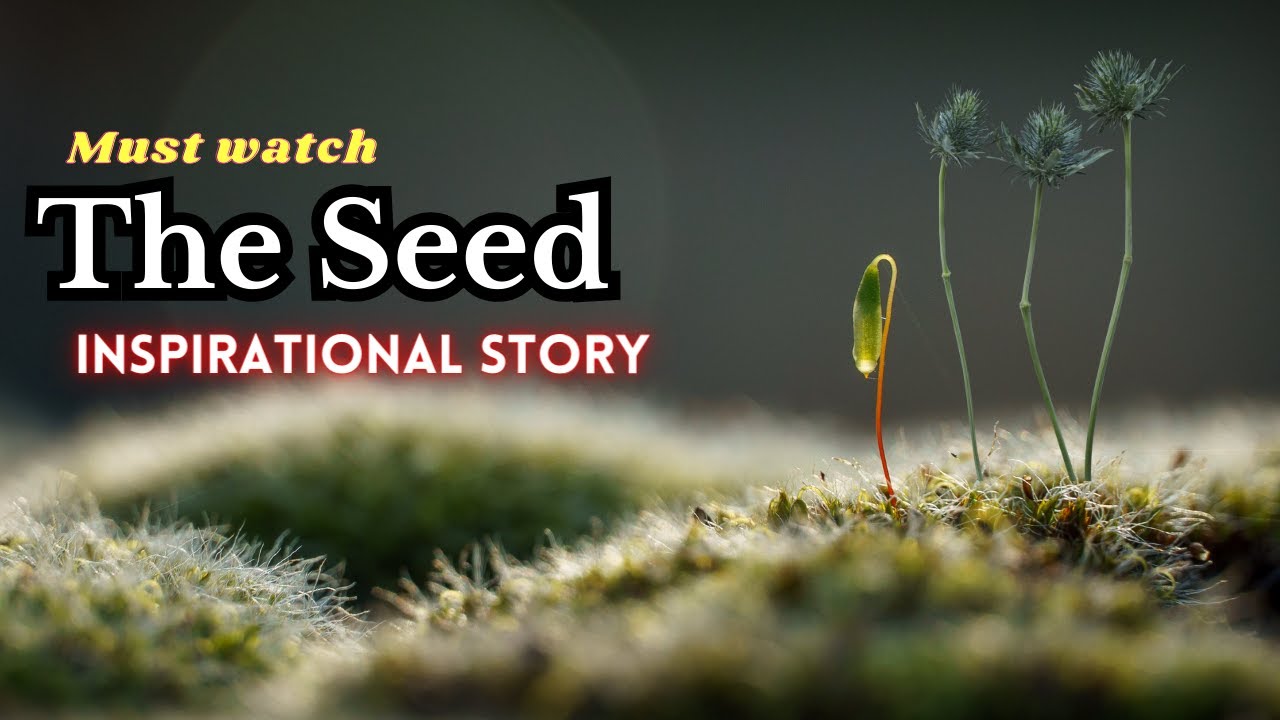 THE SEED // Inspirational Short story #motivation #dontgiveup #success ...