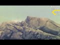 Middle of video