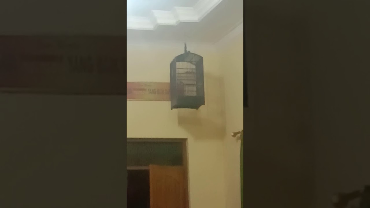 CIBLEK PAUD BELAJAR NEMBAK 