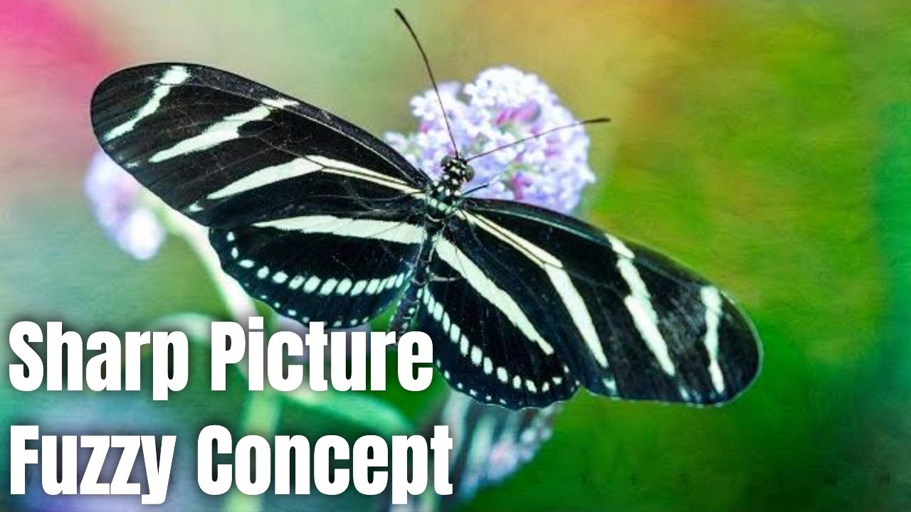 Sharp Picture, Fuzzy Concept | Photography Clips Podcast