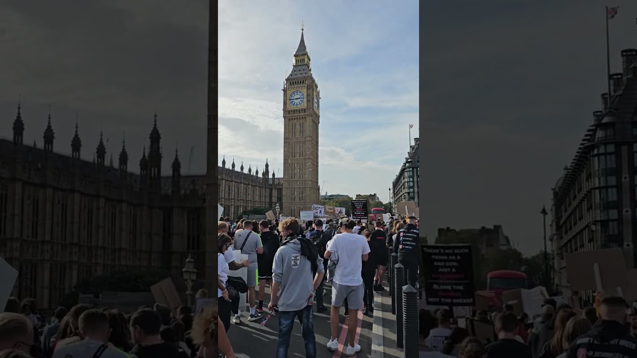 Gaza Große Britannien Manifestations. London Live , Save My Bully , England,  Großbritannien.