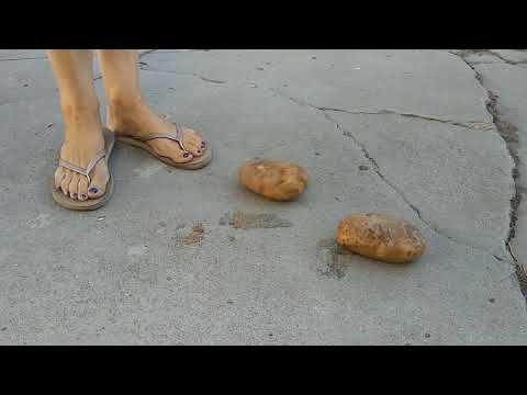 The Smashed Potatoes