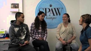 DDI Spaw Boutique Toronto