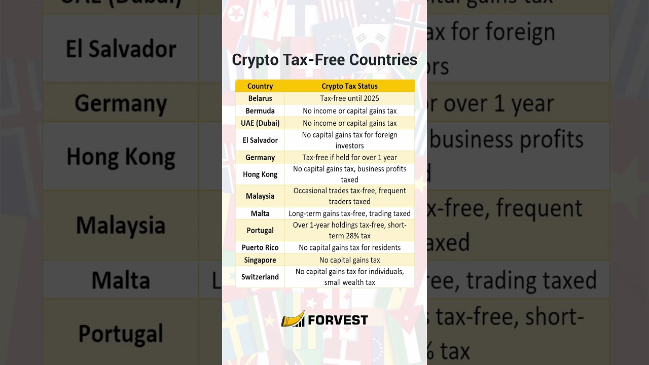 🌍💰 Top Tax-Free Countries for Crypto Investors!