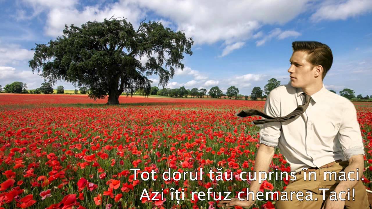 Versuri De Ar Fi Sa Vii