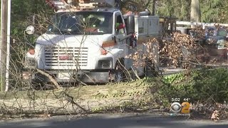 Wind Wreaks Havoc Across Tri-State