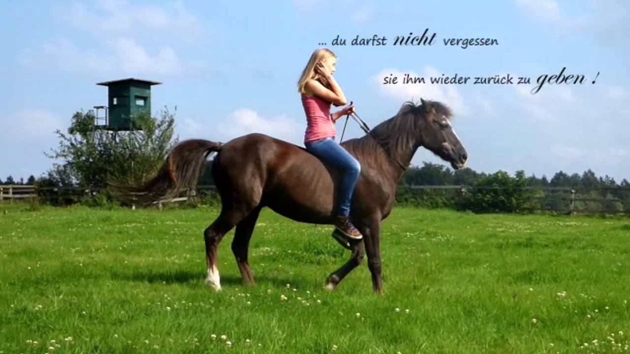 Cavallo Cup 2016 Lina & Lara