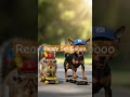A squirrel and Minpin ready to roll #shorts #DreamScreenAI #dog