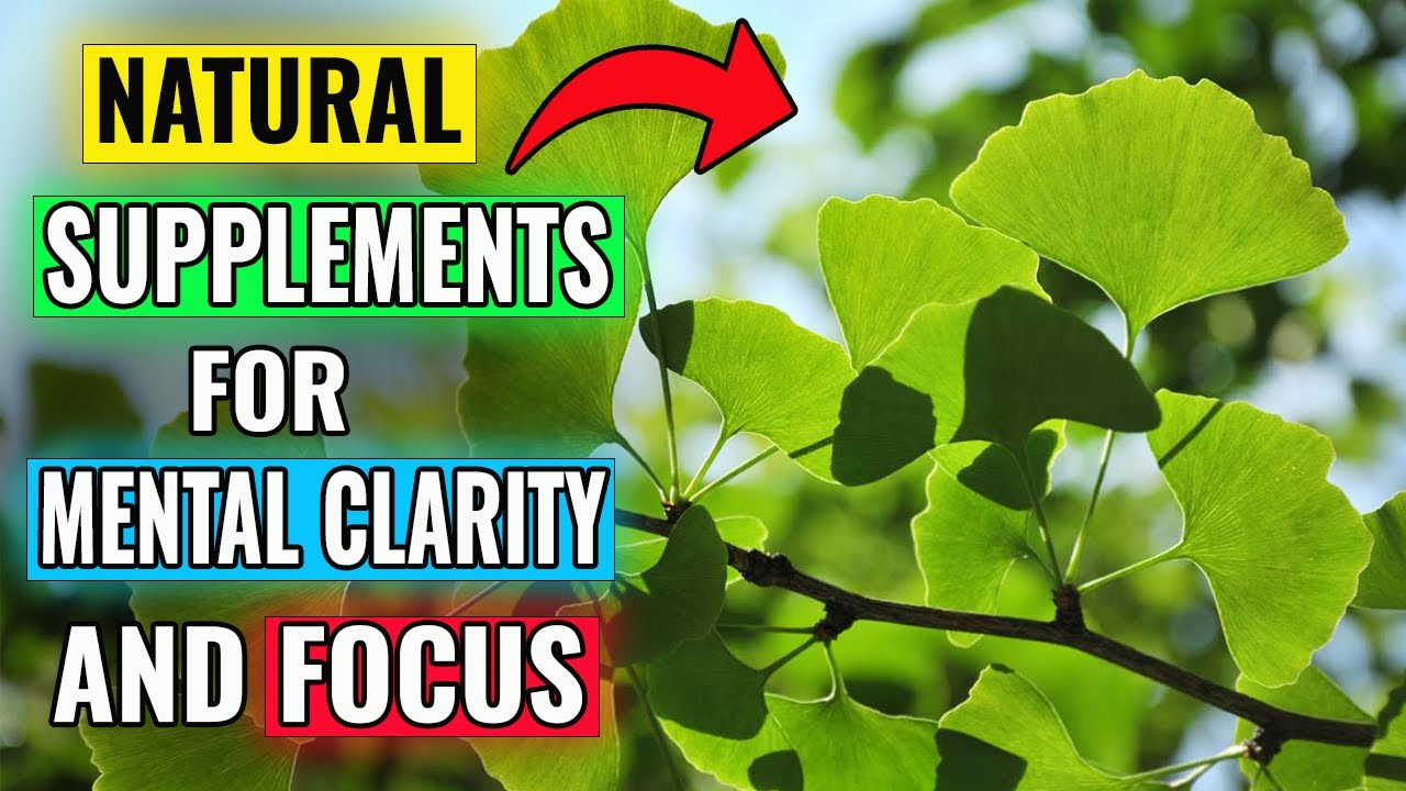 Natural Supplements For Mental Clarity And Focus YouTube