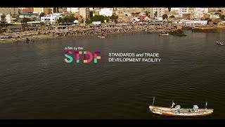 Shaping a safer world - STDF - WTO