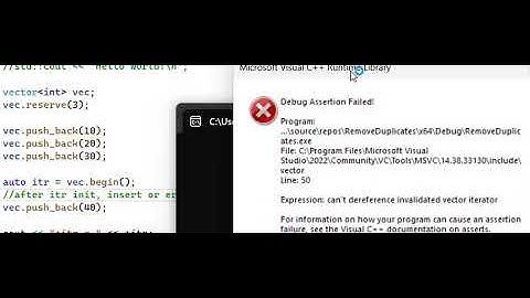 C++ Vector iterator invalidation | Code Crash | STL | Visual studio 2022 code example