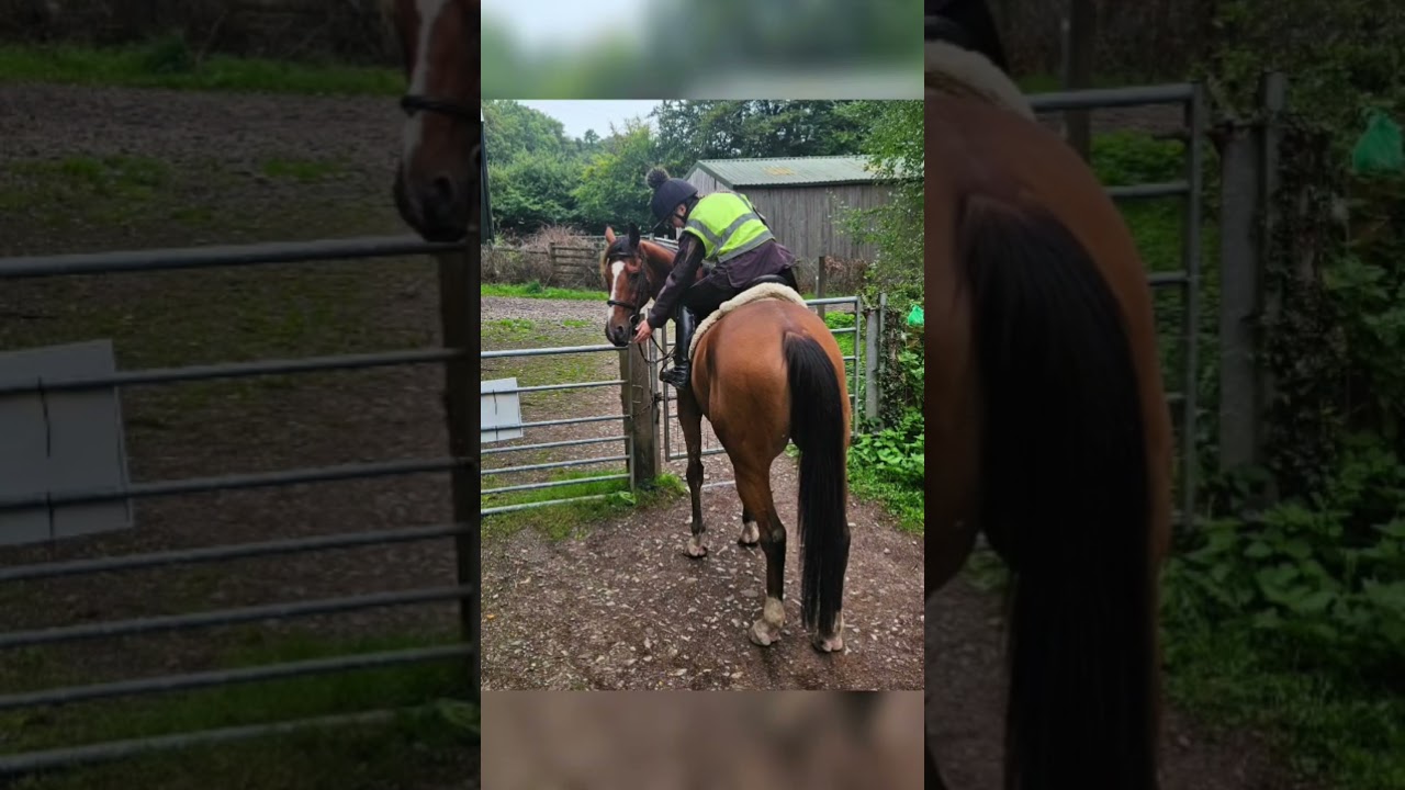 Teddy looking back over 2025 