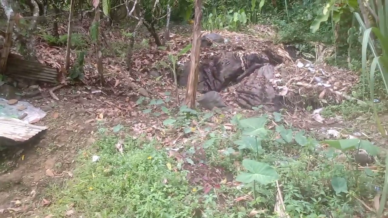 Qualidade de vida na roça é melhor 