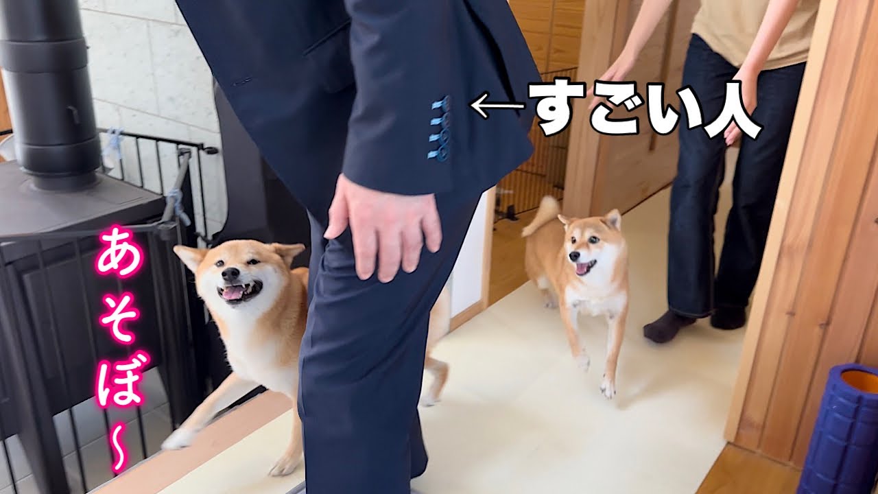 My dog's reaction when the founder of an item I always use came to