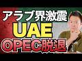 【激震】UAEがOPEC脱退! アラブ諸国の根深い対立……
