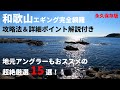 【アオリイカ完全攻略】和歌山エギング完全攻略!穴場&人気ポイント15選!