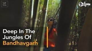 A night at Mahua Kothi Bandhavdarh | Curly Tales