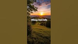 Hilang || Justy Aldrin || Cover Osni Della