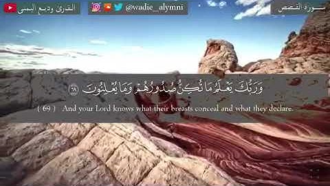 قرآن كريم بصوت وديع اليمني تلاوة تزلزل القلوب من سورة القصص