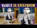 Приколы с котами. Кот вышел за хлебушком | Мемозг #223