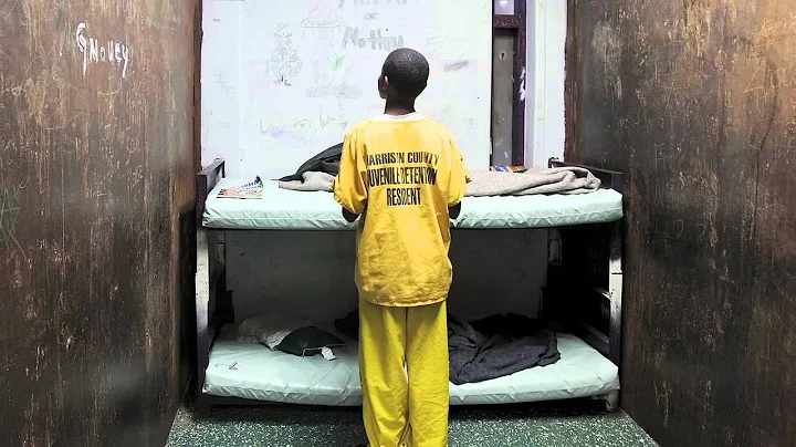 Elizabeth Cauffman on Juvenile Justice - UC Irvine