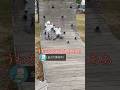 赤ちゃんアスリート集