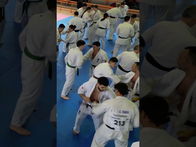 Cristian Boldut Fight Camp 2025 #kyokushin #shinkyokushin #karate #1kyokushin #一極真 #極真会館