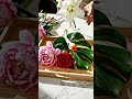 Modern Floral Arrangements – Easy & Stunning DIY Ideas #aestheticflowers #flowerarrangement