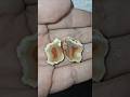 ✨️Look close! This Mini Malawi Agates has a bunch Transparent Bands! #crystals #minerals #gemstone