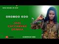 JAAL CACCABSAA DIINAA OROMOO KOO New Oromo Music 2026