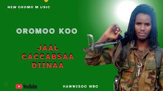 JAAL:  CACCABSAA DIINAA 'OROMOO KOO' #new #oromo #music 2026