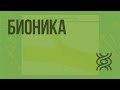 Бионика. Видеоурок по биологии 11 класс