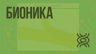 Бионика. Видеоурок по биологии 11 класс