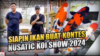 PILIH IKAN @balinipponkoi  BUAT NUSATIC KOI SHOW 2024