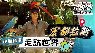 【宏都拉斯】首次考古神秘馬雅文明！科潘遺址「象形文字階梯」、國鳥「金剛鸚鵡」展翅、最道地宏都拉斯早餐「玉米餅」！｜#亞洲旅遊台 #廖科溢 小編精選