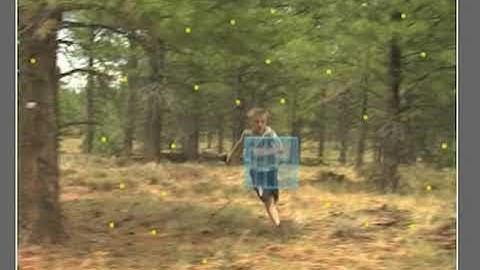 3D EQUALIZER MATCH MOVE