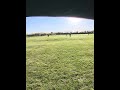 Insane Cricket POV! 🏏🔥 #Shorts