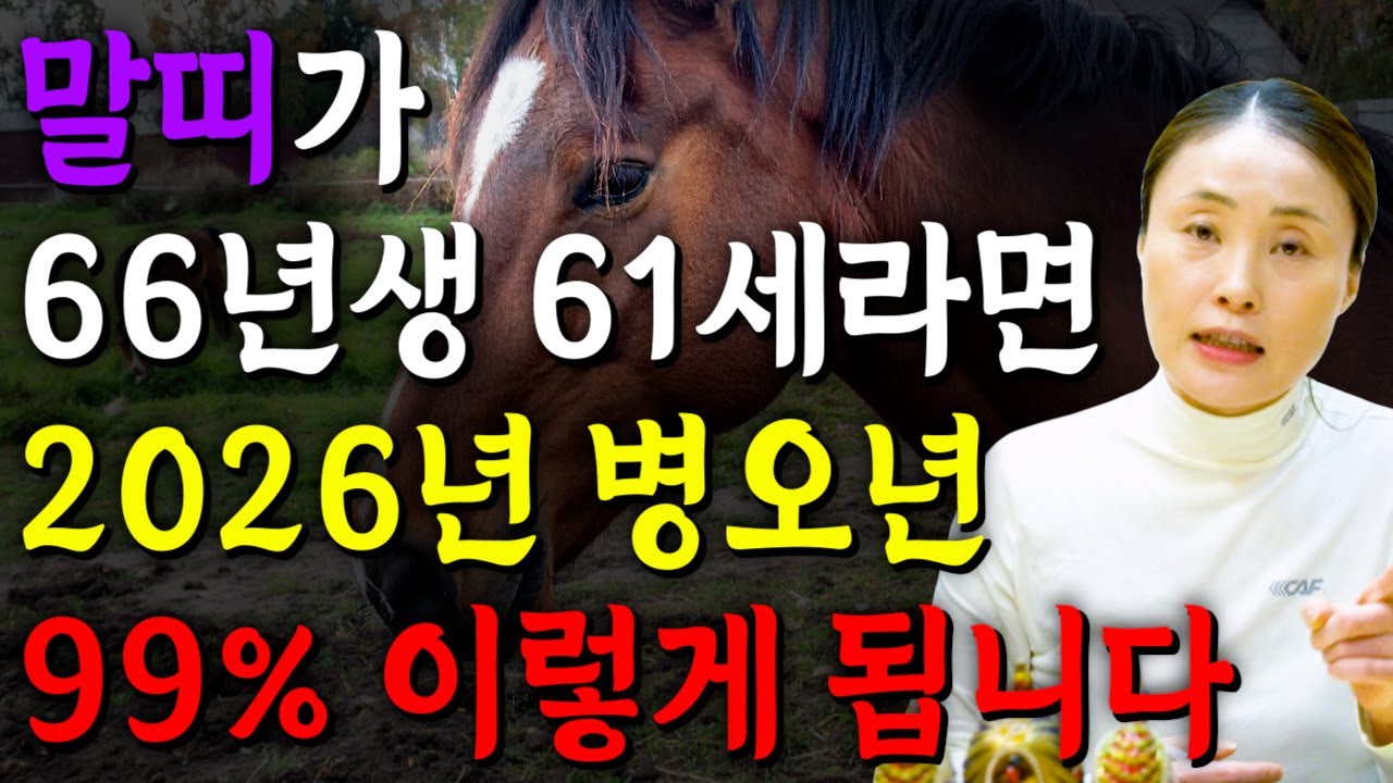 말띠가 1966년생 61세라면 2026년 병오년 운세에 말년을 책임질 대운이 들어옵니다! 2026년 병오년 61세 말띠운세 무조건 대박난다! 말띠 운세 확인하세요!