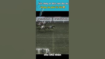 Vô địch cuộc đua mà không cần thi đấu 🤣