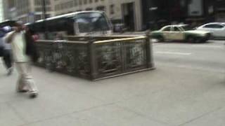 Chicago CTA Buses in action