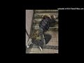 [free] nine vicious type beat - "to me"