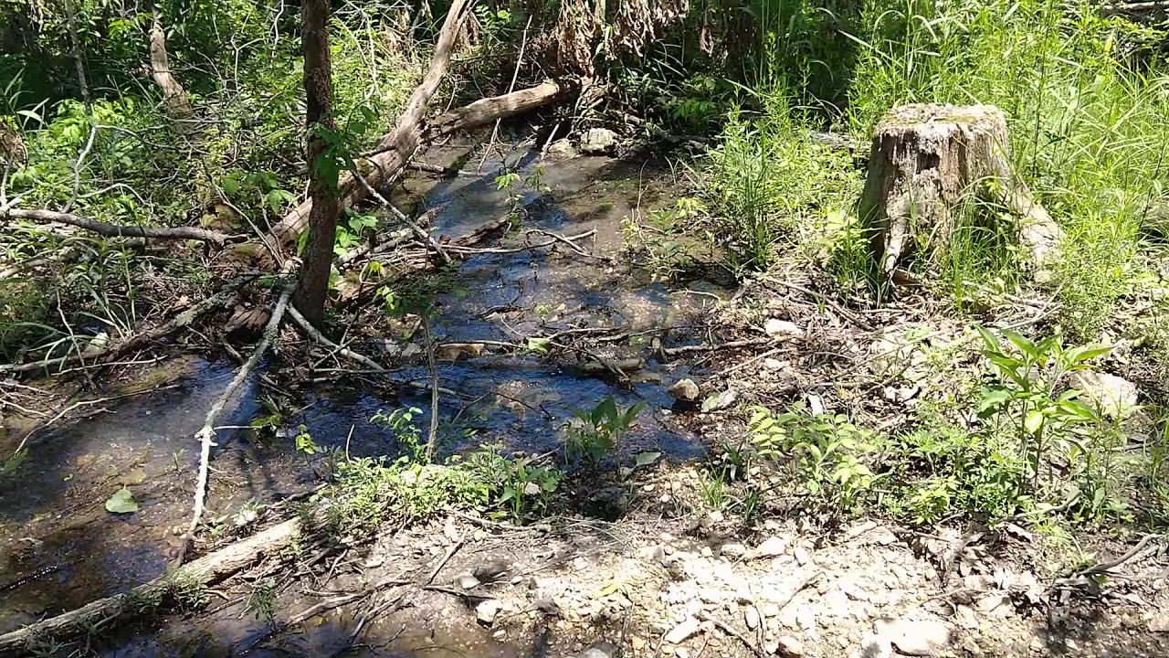 Nice fresh water spring flowing on a property we have for sale near