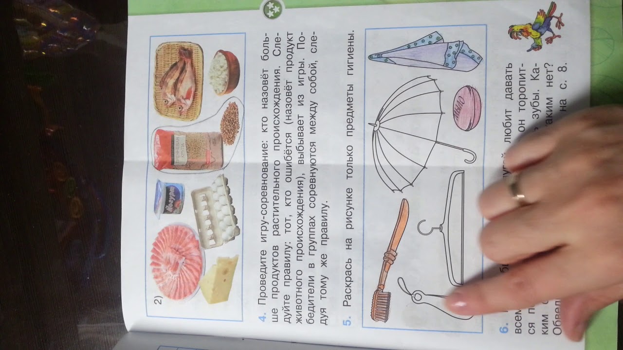 Окр мир 2класс 2ч стр.5-8 - YouTube