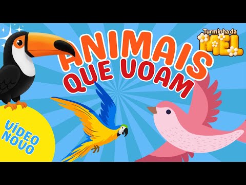 ANIMAIS QUE VOAM- CONHECENDO OS ANIMAIS QUE VOAM