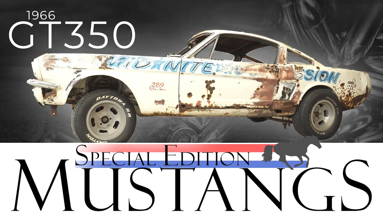 This Shelby GT350 Has Been Through A LOT | Special Edition Mustang