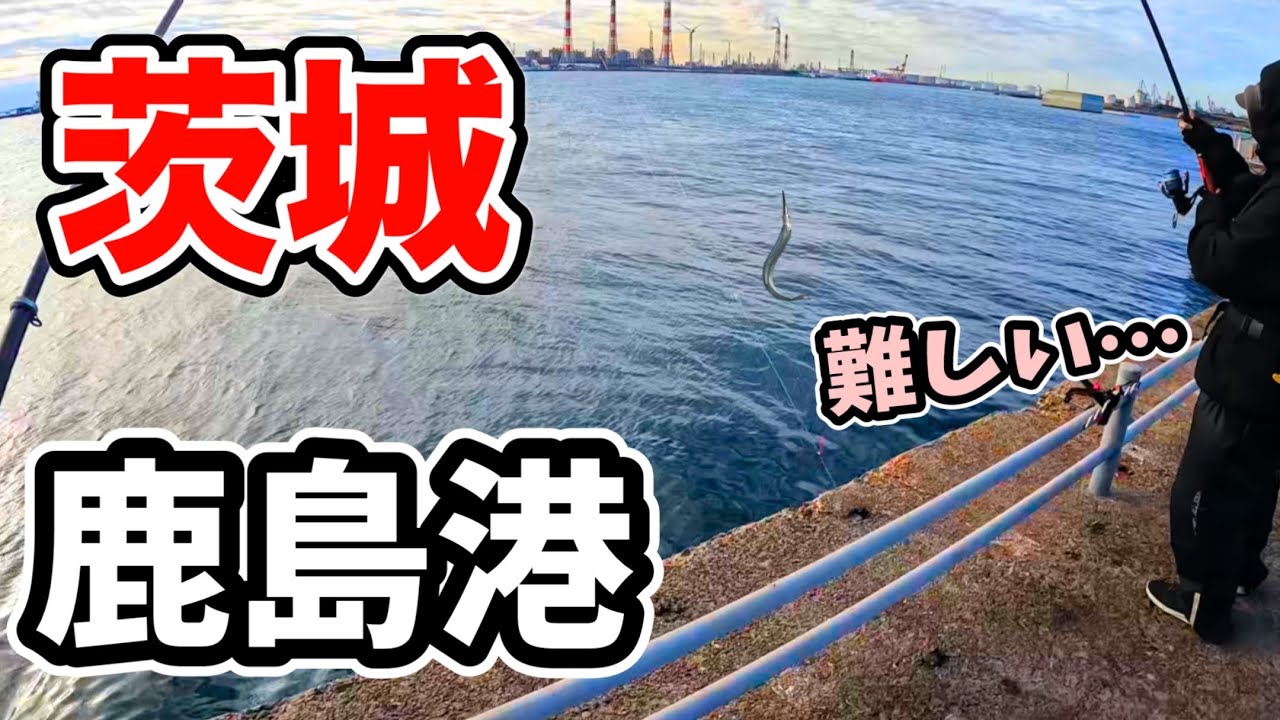 茨城 鹿島港で絶好調のサヨリ釣りに初チャレンジ！なかなか釣れず苦戦、仕掛けを変えたら・・・