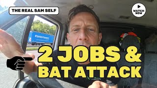 Demolishing Two Sheds in One Day – But First, a Bat Attack?!