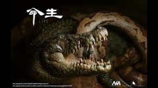 Titans of Africa  Python vs  Crocodile! VEED