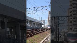 8000系通常塗装+アンパンマン列車 松山駅#jr四国