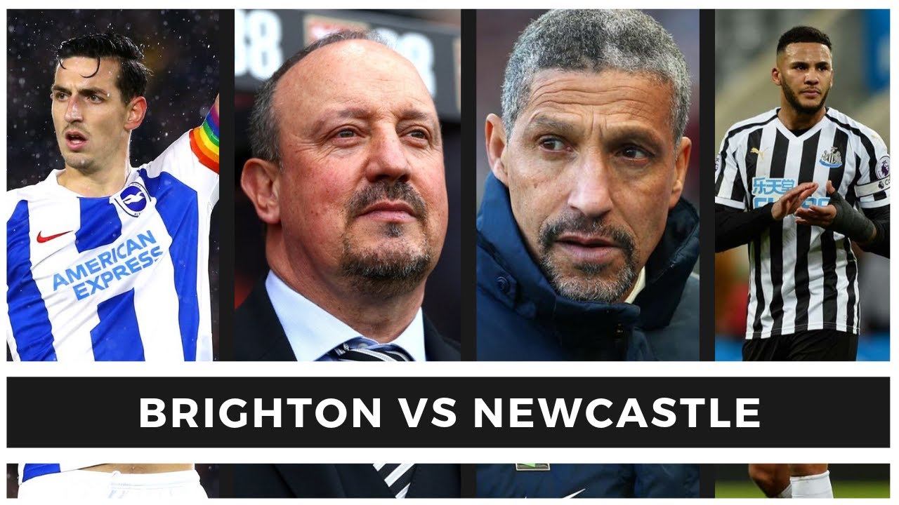 gamezone The preview | Brighton vs Newcastle United